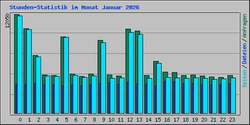 Stunden-Statistik im Monat Januar 2026