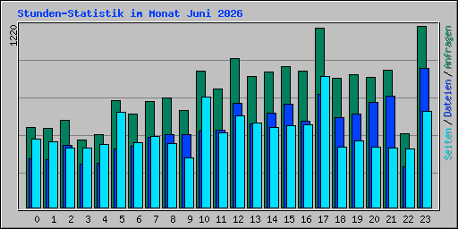 Stunden-Statistik im Monat Juni 2026