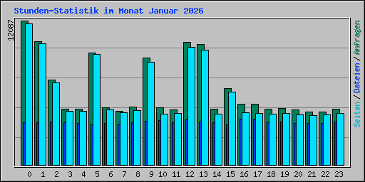 Stunden-Statistik im Monat Januar 2026