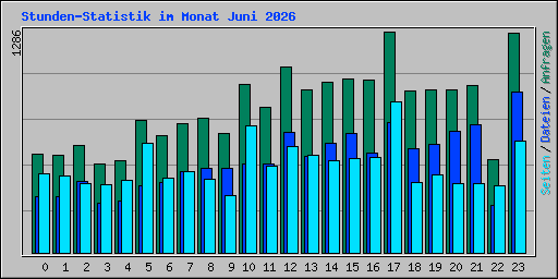 Stunden-Statistik im Monat Juni 2026